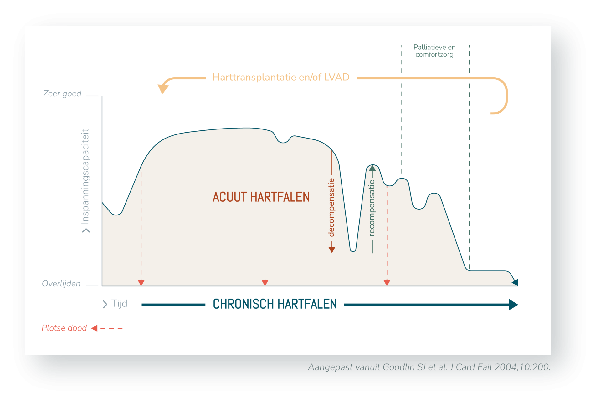 Aangepast vanuit Goodlin SJ et al. J Card Fail 2004;10:200.